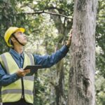 tree pruning services