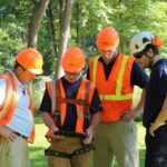 Tree Removal Company
