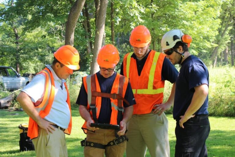Tree Removal Company