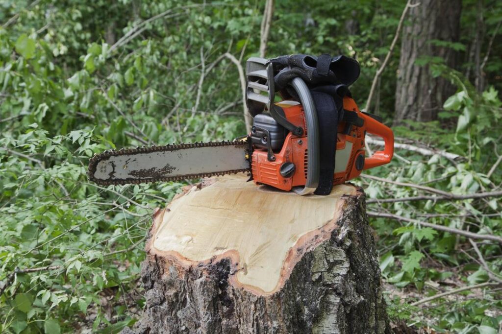 Tree Services Sydney