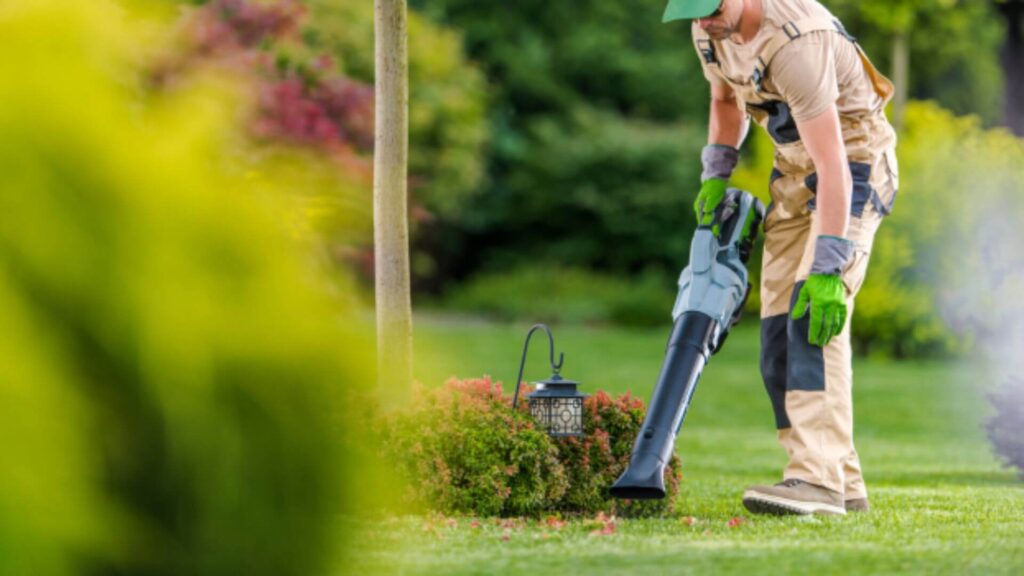 Why Regular Garden Waste Removal Sydney Keeps Your Yard Healthy