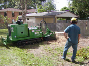 How Much Does Tree Removal Blue Mountains Cost on Average?