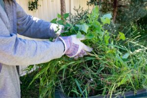 What is the Difference Between Wood Chip Mulch and Bark Chips?