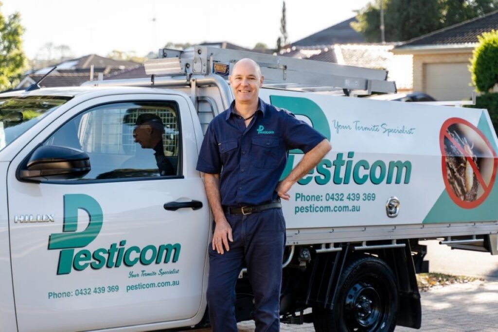 Termite Control Services