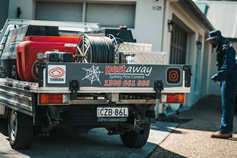 Termite Control Services