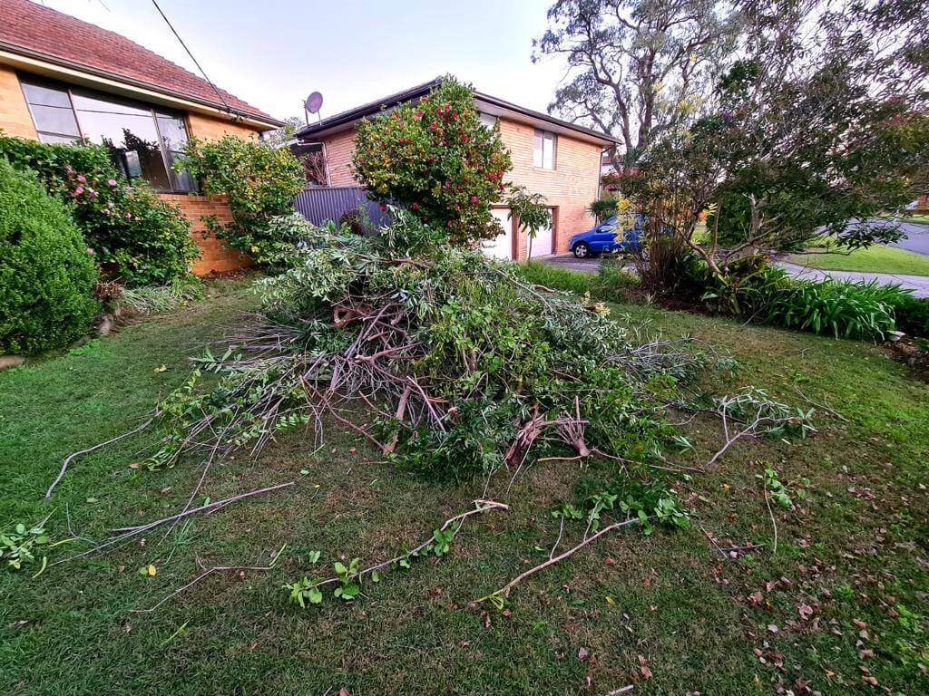Green Waste Removal Sydney