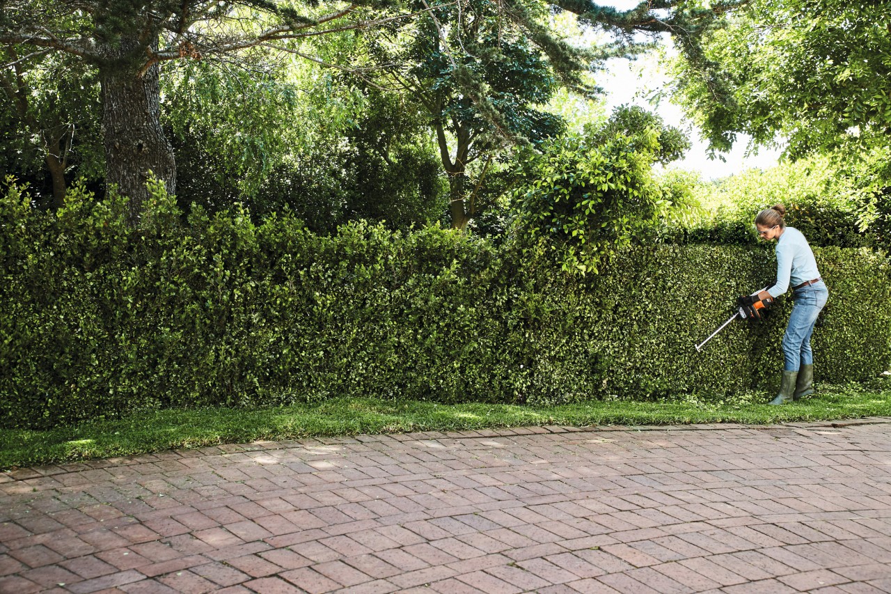 Tree Pruning Sydney: How to Get It Right the First Time