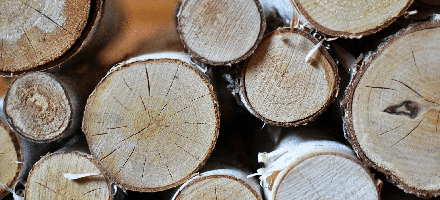 Firewood Sydney: How to Buy Wood That Actually Burns Well