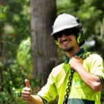 Arborist Sydney: How to Hire the Right One (and Spot the Fakes)